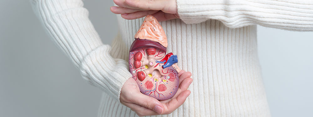 Urology Kamti Healthcare & Diagnostics